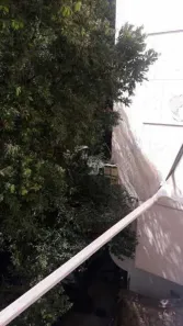 Apartamento com 3 Quartos à venda, 100m² no Flamengo, Rio de Janeiro