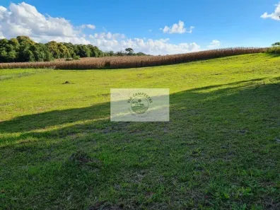 Lote/Terreno à venda, 3527m² no , Campo Alegre