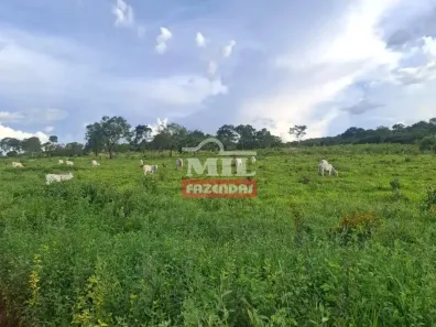 Fazenda/Sítio à venda, 500m² no , Rio Sono