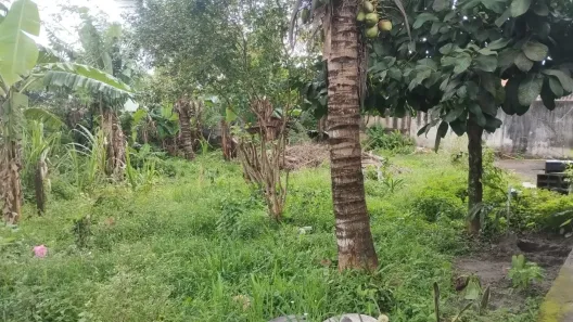 Lote/Terreno à venda, 230m² no Belas Artes, Itanhaém