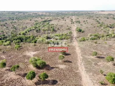 Fazenda/Sítio à venda, 1m² no , Nova Crixás
