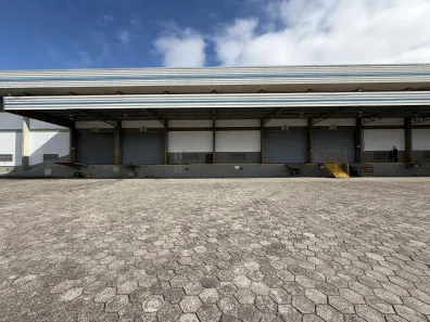 Galpão/Depósito/Armazém com 3 Quartos para alugar, 9800m² no Santa Terezinha, Gaspar