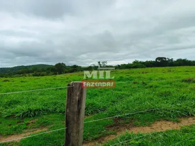 Fazenda/Sítio à venda, 500m² no , Jaraguá