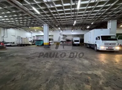 Galpão/Depósito/Armazém para alugar, 6000m² no Baeta Neves, São Bernardo do Campo