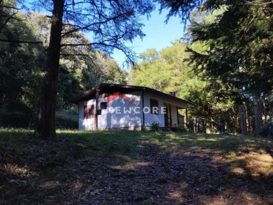 Fazenda/Sítio com 3 Quartos à venda, 60m² no Centro, São Francisco de Paula