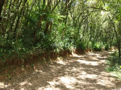 Fazenda/Sítio à venda, 20072m² no Porto das Laranjeiras, Araucária