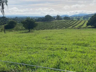 Fazenda/Sítio com 3 Quartos à venda, 11m² no , Taquaral de Goiás