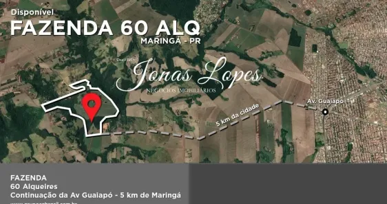 Fazenda/Sítio com 1 Quarto à venda, 60m² no Gleba Ribeirão Morangueiro, Maringá