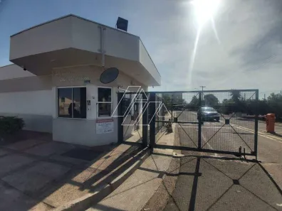 Apartamento com 3 Quartos à venda, 57m² no Altos da Colina, Marília