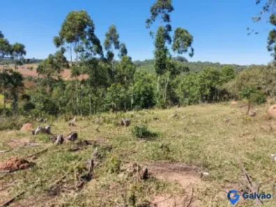 Fazenda/Sítio com 2 Quartos à venda, 116683m² no Pitangal, Jarinu