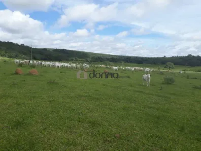 Fazenda/Sítio com 5 Quartos à venda, 147m² no São Cristóvão, Formiga