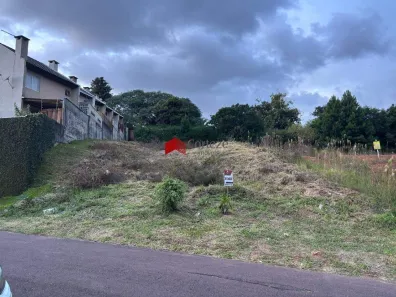 Lote/Terreno à venda, 619m² no Silveira da Motta, São José dos Pinhais