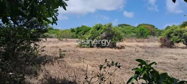 Lote/Terreno à venda, 800m² no , Tibau do Sul