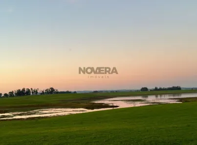 Fazenda/Sítio com 3 Quartos à venda, 240m² no Alto Alegre, Cerrito