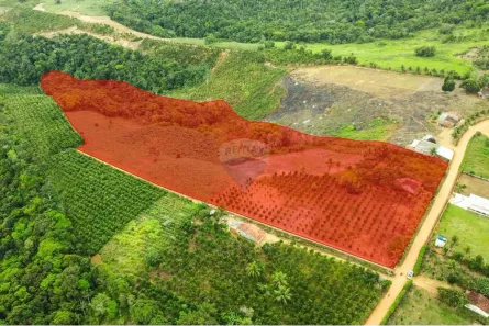 Fazenda/Sítio à venda, 69000m² no Área Rural de Santo Antônio de Jesus, Santo Antônio de Jesus
