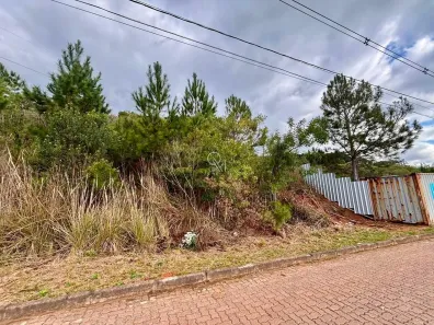 Lote/Terreno à venda, 394m² no Monte Bérico, Caxias do Sul