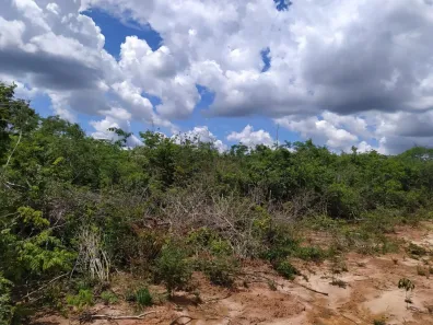 com 10 Quartos à venda, 6900m² no , Cocos
