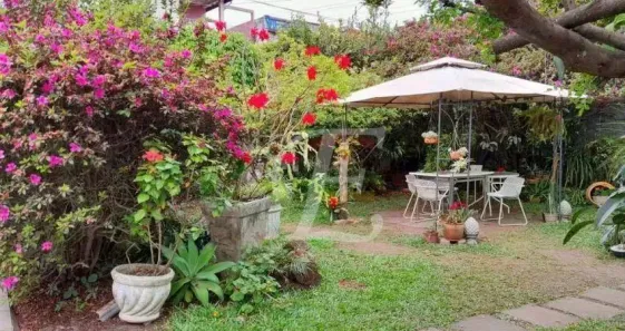 Lote/Terreno à venda, 1170m² no Vila Albertina, São Paulo