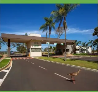 Lote/Terreno à venda, 2876m² no , Santo Antônio de Goiás