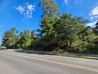 Lote/Terreno à venda, 354m² no Canelinha, Canela