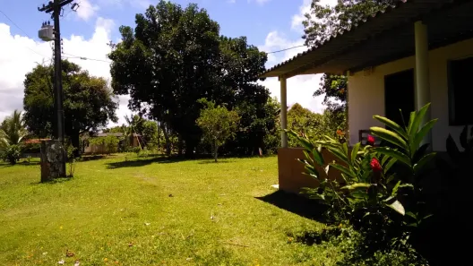 Fazenda/Sítio com 2 Quartos à venda, 16m² no Coutos, Ilhéus