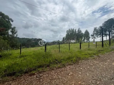 Fazenda/Sítio com 1 Quarto à venda, 5000m² no , Canela