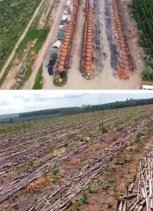 Fazenda/Sítio à venda no , Central de Minas