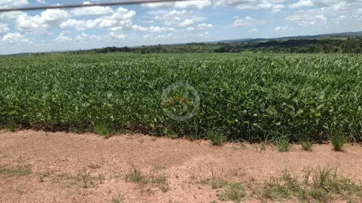 Fazenda/Sítio com 1 Quarto à venda, 490000m² no Centro, Silvânia