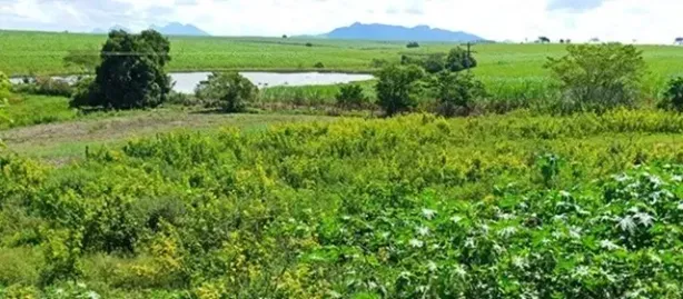 Fazenda/Sítio à venda, 145200m² no Travessão, Campos dos Goytacazes