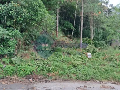 Lote/Terreno à venda, 396m² no Potecas, São José