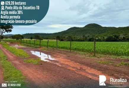 Fazenda/Sítio à venda, 629m² no , Ponte Alta do Tocantins