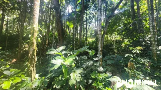 Lote/Terreno à venda, 595m² no , Itatiaia
