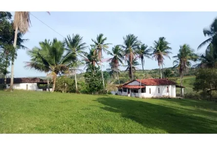 Fazenda/Sítio com 13 Quartos à venda, 112000m² no Alagoinhas Velha, Alagoinhas
