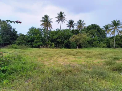 Lote/Terreno à venda, 536m² no Centro, Ipojuca