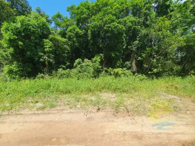Lote/Terreno à venda, 450m² no Barra do Saí, Itapoá