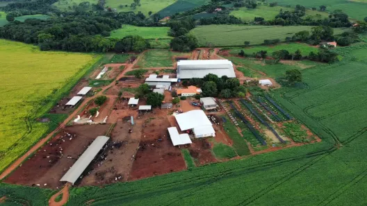 Fazenda/Sítio com 7 Quartos à venda, 42m² no , Vianópolis