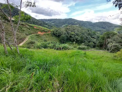 Fazenda/Sítio à venda, 8000m² no , Águas Mornas