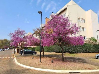 Apartamento com 3 Quartos à venda, 75m² no Jardim São José, Ribeirão Preto