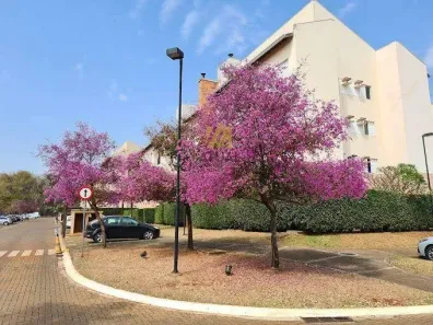 Apartamento com 3 Quartos à venda, 75m² no Jardim São José, Ribeirão Preto