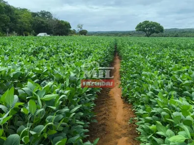 Fazenda/Sítio à venda, 500m² no , Dianópolis