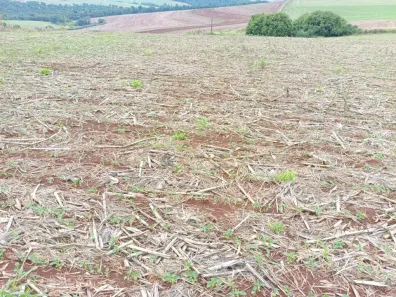 Fazenda/Sítio com 1 Quarto à venda, 121000m² no Paiquerê, Londrina