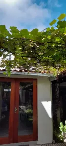 Imóvel Comercial com 8 Quartos para alugar, 380m² no Cabo Branco, João Pessoa