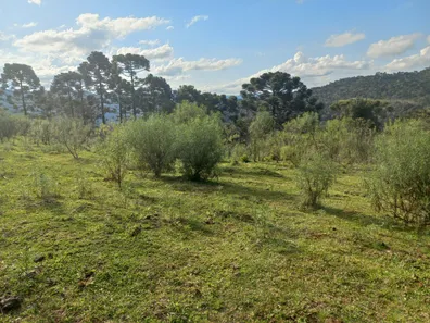 Lote/Terreno à venda, 20000m² no , Urubici