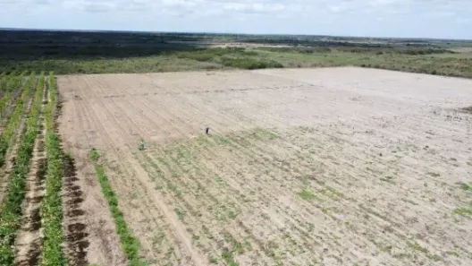 Fazenda/Sítio com 3 Quartos à venda, 500000m² no , Touros