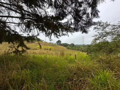 Fazenda/Sítio à venda, 10125m² no Zona Rural, Campo Magro