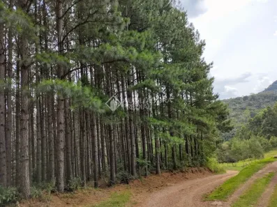 Fazenda/Sítio à venda, 70680m² no Serra Grande, Gramado