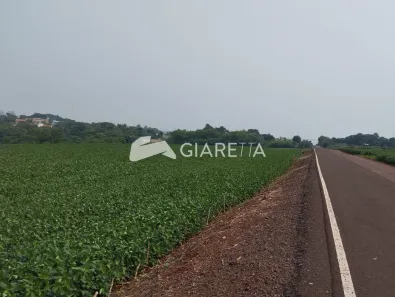 Fazenda/Sítio à venda, 24500m² no Dois Irmãos (Toledo), Toledo