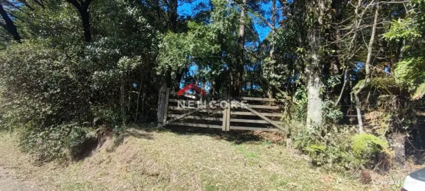 Lote/Terreno à venda, 600m² no Centro, São Francisco de Paula