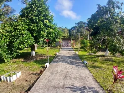 Fazenda/Sítio com 3 Quartos à venda, 80m² no Chácara Glória, Itanhaém