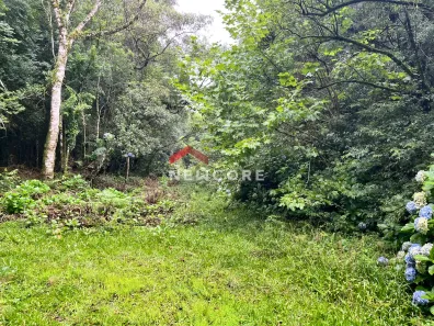 Lote/Terreno à venda, 600m² no Centro, São Francisco de Paula